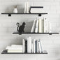 Ripiani Per Libreria 4Pz Grigio Lucido 80X30X1,5Cm Multistrato