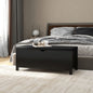 Contenitore Con Cuscino 105X40X45Cm Legno Multistrato