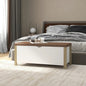 Contenitore Con Cuscino 105X40X45Cm Legno Multistrato