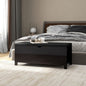 Contenitore Con Cuscino 105X40X45Cm Legno Multistrato